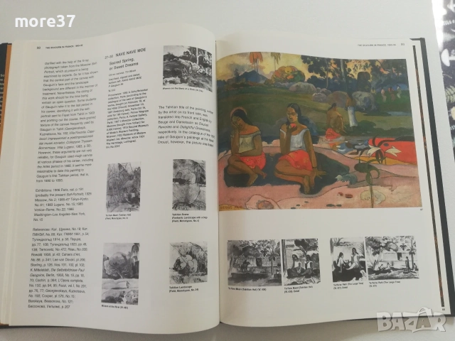 Пол Гоген-рядка книга, снимка 15 - Изкуство, музика, кино и фотография - 55314834