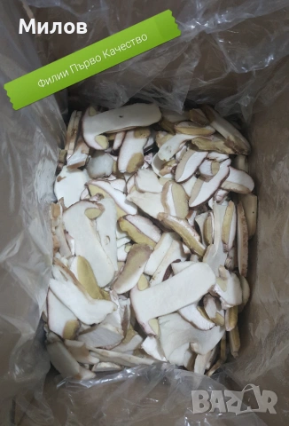 Гъби Сушени / Замразени Манатарка, Челадинка, Пачи крак, снимка 9 - Домашни продукти - 55276800