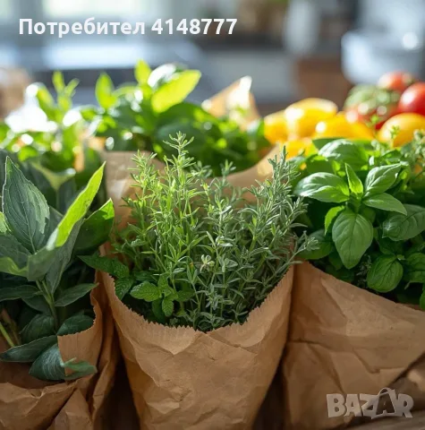 🌿 Букет Свежи Билки Мix– Свежи Градински Билки! 