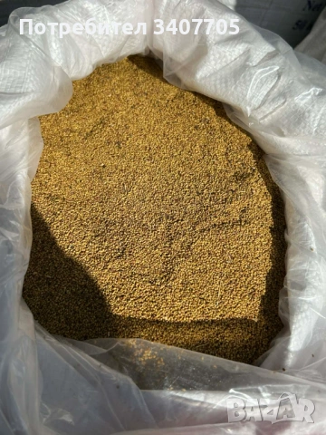 люцерново семе, снимка 3 - Други - 54093784