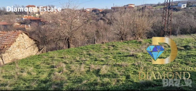 Едноетажна къща в село Динево, обл. Хасково, снимка 7 - Къщи - 54712231
