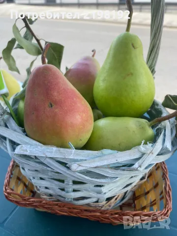  СВЕЖИ КРУШИ ДИРЕКТНО ОТ ПРОИЗВОДИТЕЛЯ! 🍐 