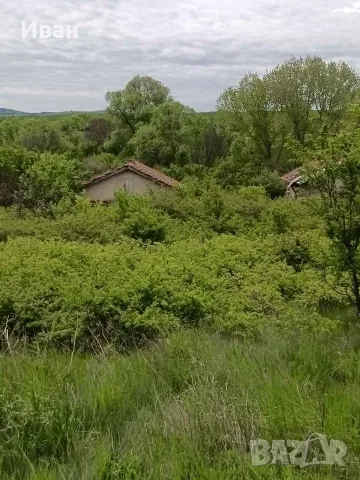 Продава имот със стара къща село Извор Софийско, снимка 7 - Къщи - 55535316
