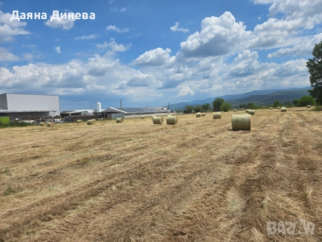 Продавам ролони бали сено, снимка 2 - За селскостопански - 54631261
