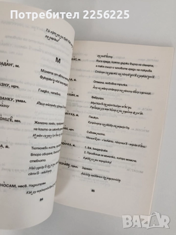 Диференциален диалектен речник на Райково, снимка 4 - Специализирана литература - 55692434
