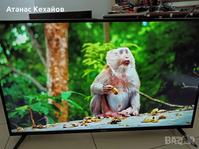 ТВ. DYON Movie smart XT 49