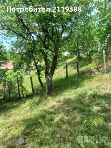 Дърва за огрев,ясен,акация и сливи, снимка 3 - Дърва за огрев - 54808452