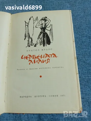 Анатол Франс - Червената лилия , снимка 5 - Художествена литература - 55630920