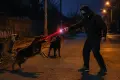 Мощен Кучегон Електрошок с Лазер и LED Фенер фенерче шок, снимка 3