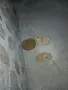 Mini Pomeran sladyri, снимка 11