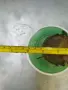 Стара австрийска газена лампа, снимка 8