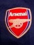 Арсенал - Пума - Arsenal - Puma - season 2016/2017, снимка 3