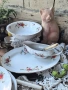 Сервиз за хранене , снимка 1