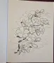 Malen und Entspannen Tattoos, снимка 2