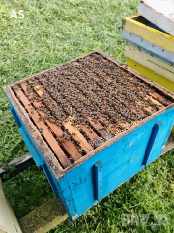 Пчелни кошери  ДБ 12 рамкови