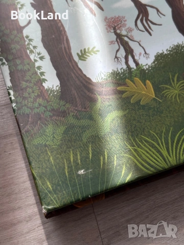 Дърветата| Пьотр Соха , снимка 7 - Детски книжки - 54179710