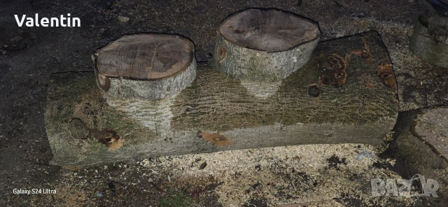 Орех за Материал 120 см дължина , снимка 7 - Декорация за дома - 53950478