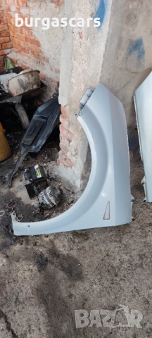 Калник ляв десен Renault Scenic II, снимка 2 - Части - 54228548