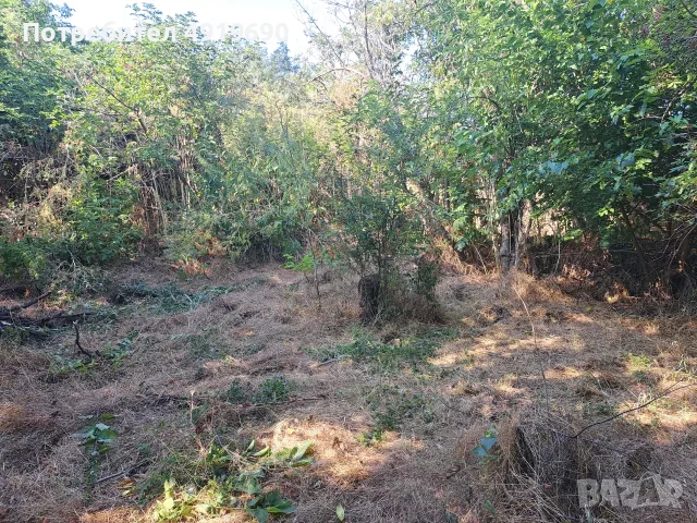 Продажба имот в село Мировци, снимка 5 - Парцели - 55672498
