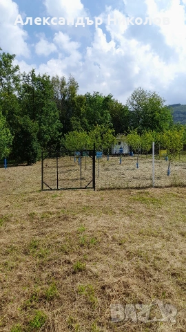 Продава се парцел в село Пецовци, снимка 8 - Парцели - 55091766