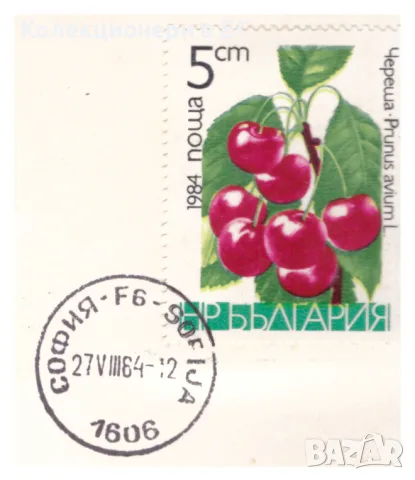 СЕТ БЪЛГАРСКИ МОНЕТИ 1974 ГОДИНА  ⭐THE FRANKLIN MINT⭐, снимка 6 - Нумизматика и бонистика - 55303729