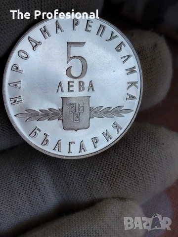 Две Петолевки., снимка 5 - Нумизматика и бонистика - 55086950