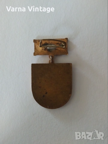 Значка 9-ти конгрес на БКП За трудови успехи. бронз. емайл., снимка 2 - Колекции - 54038424