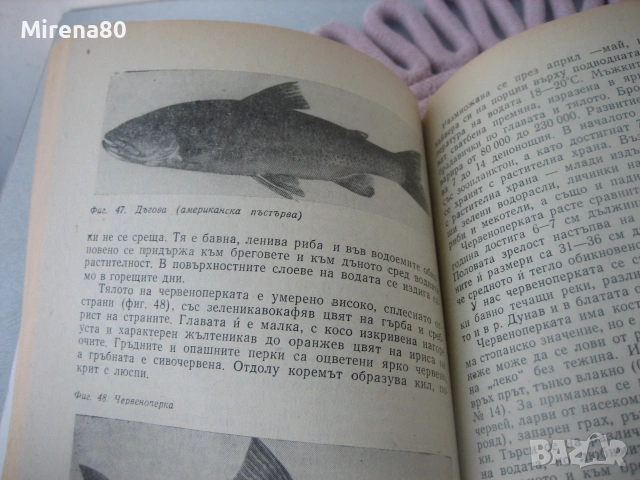 За младия ловец и риболовец, снимка 4 - Специализирана литература - 55188783