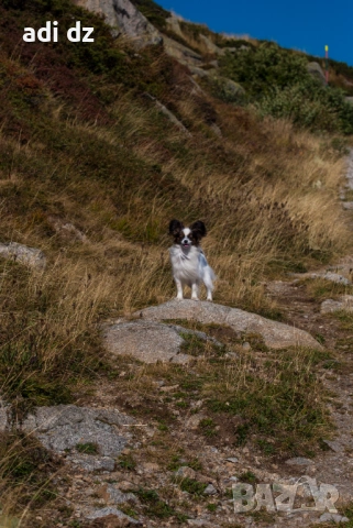 Дрон + Фотография / Видеография – Варна., снимка 7 - Други услуги - 53978948