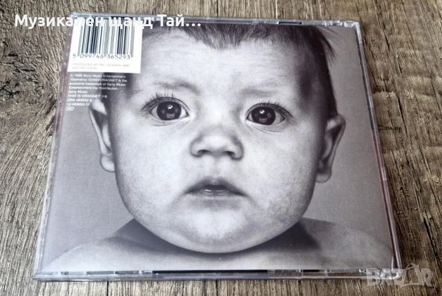 Компакт Дискове - Рок - Метъл: Bad Religion – The Gray Race , снимка 2 - CD дискове - 54874400
