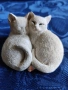 Фигури за декорация , снимка 7