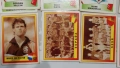 Ретро футболни стикери Panini Euro 96 - 105+ броя, снимка 7