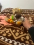 Продавам чихуахуа , снимка 1