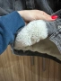 Зимно дънково Яке, снимка 7