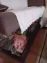 Продавам ъгъл за хол на НАНИ, снимка 2