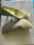 Дамски обувки на ток , снимка 4