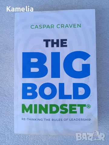 The Big Bold Mindset: Re-thinking the Rules of Leadership. English book