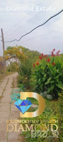 Едноетажна къща в село Селци, обл. Пловдив, снимка 14 - Къщи - 54111637