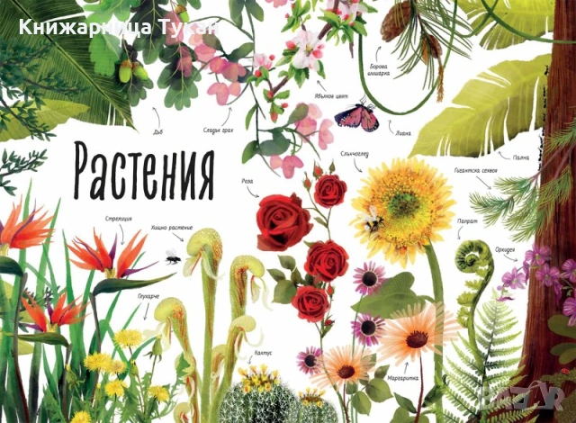 Моята първа книга за природата, снимка 2 - Детски книжки - 55201928
