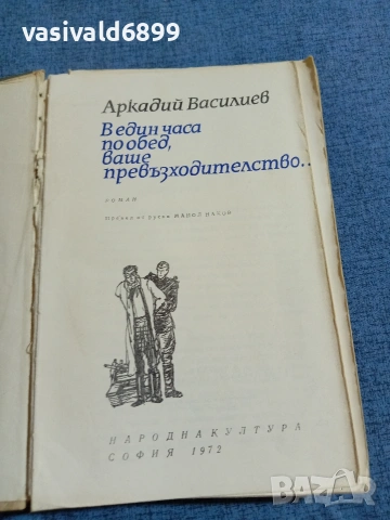 Аркадий Василиев - В един часа по обед, Ваше Превъзходителство 