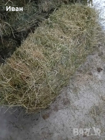 Продава бали сено и бали люцерна, снимка 3 - За селскостопански - 54573708