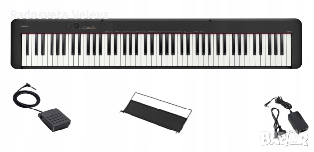 Casio cdp s110