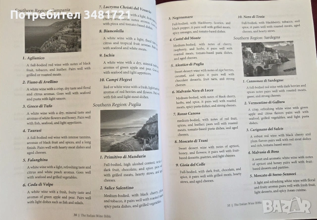 Библия на италианските вина / The Italian Wine Bible, снимка 9 - Кулинария - 55065014