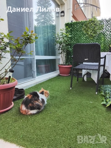 Smart home /умен дом, снимка 13 - Апартаменти - 49698980