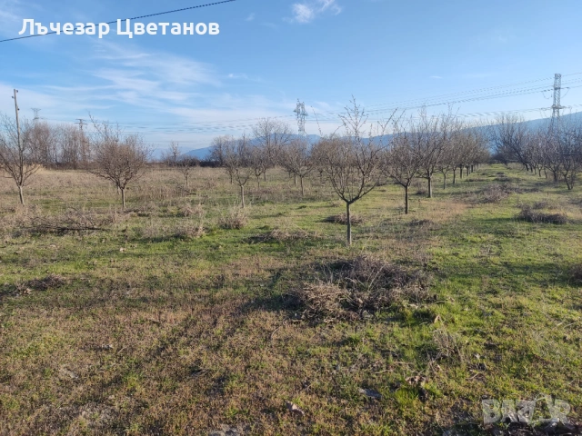 Косене на тревни площи , снимка 4 - Други услуги - 54655070