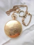 Изключително Рядък Модел Джобен Часовник HAMILTON 1890те г. , снимка 9