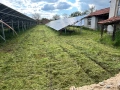 Косене и поддръжка на тревни площи , снимка 5