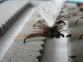 Комплект за мухарски риболов, снимка 14