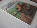 Книга "Дейвид Копърфилд - Чарлз Дикенс" - 72 стр., снимка 11