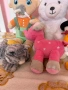 Комплект плюшени играчки, като нови , снимка 3